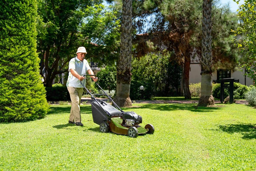 the best lawn mower